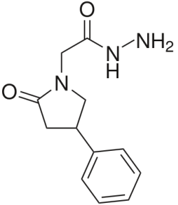 Phenylpiracetam Hydrazide