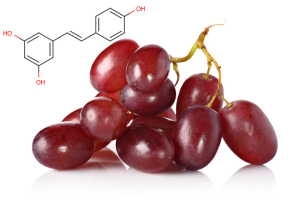 grapes resveratrol