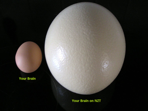 NZT egg brain